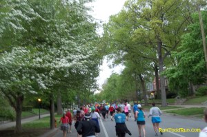 Tree-lined streets
