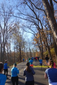 Entering Cherokee Park